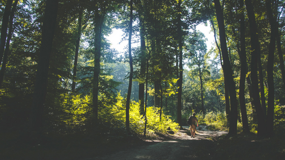 trail race