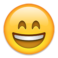 Smiling Face With Open Mouth and Smiling Eyes